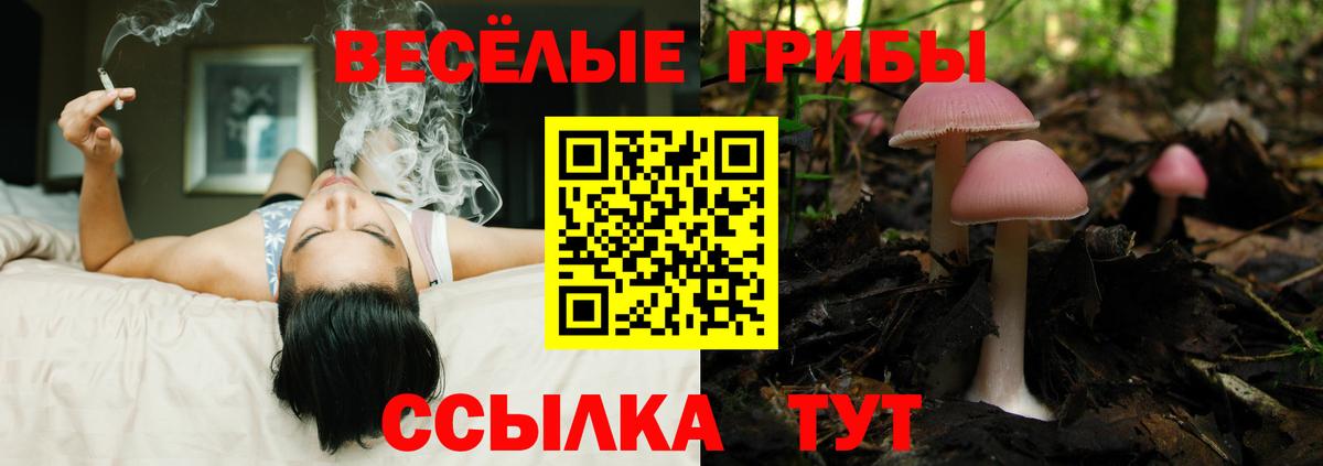 Псилоцибиновые грибы мицелий  Вход с VPN  сколько стоит  Ухта 